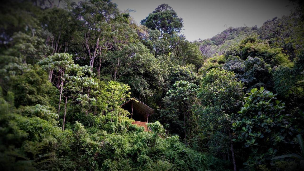 Pallegama Chalet In The Jungle מראה חיצוני תמונה