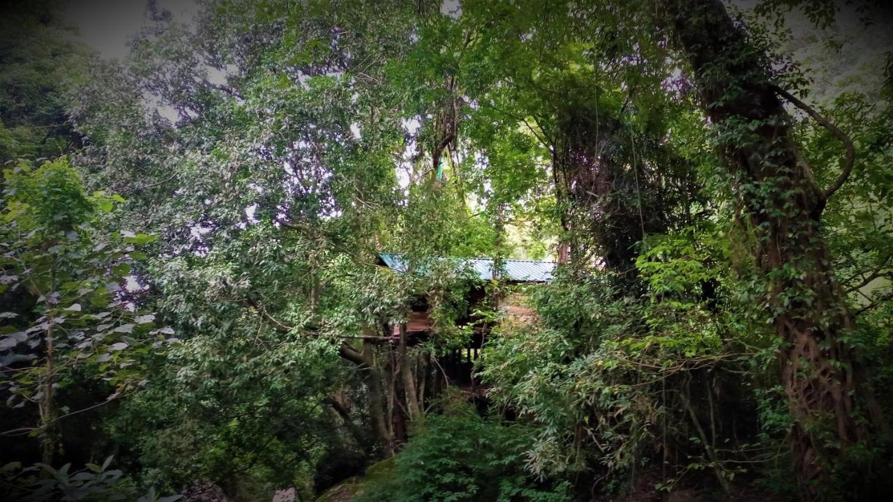 Pallegama Chalet In The Jungle מראה חיצוני תמונה