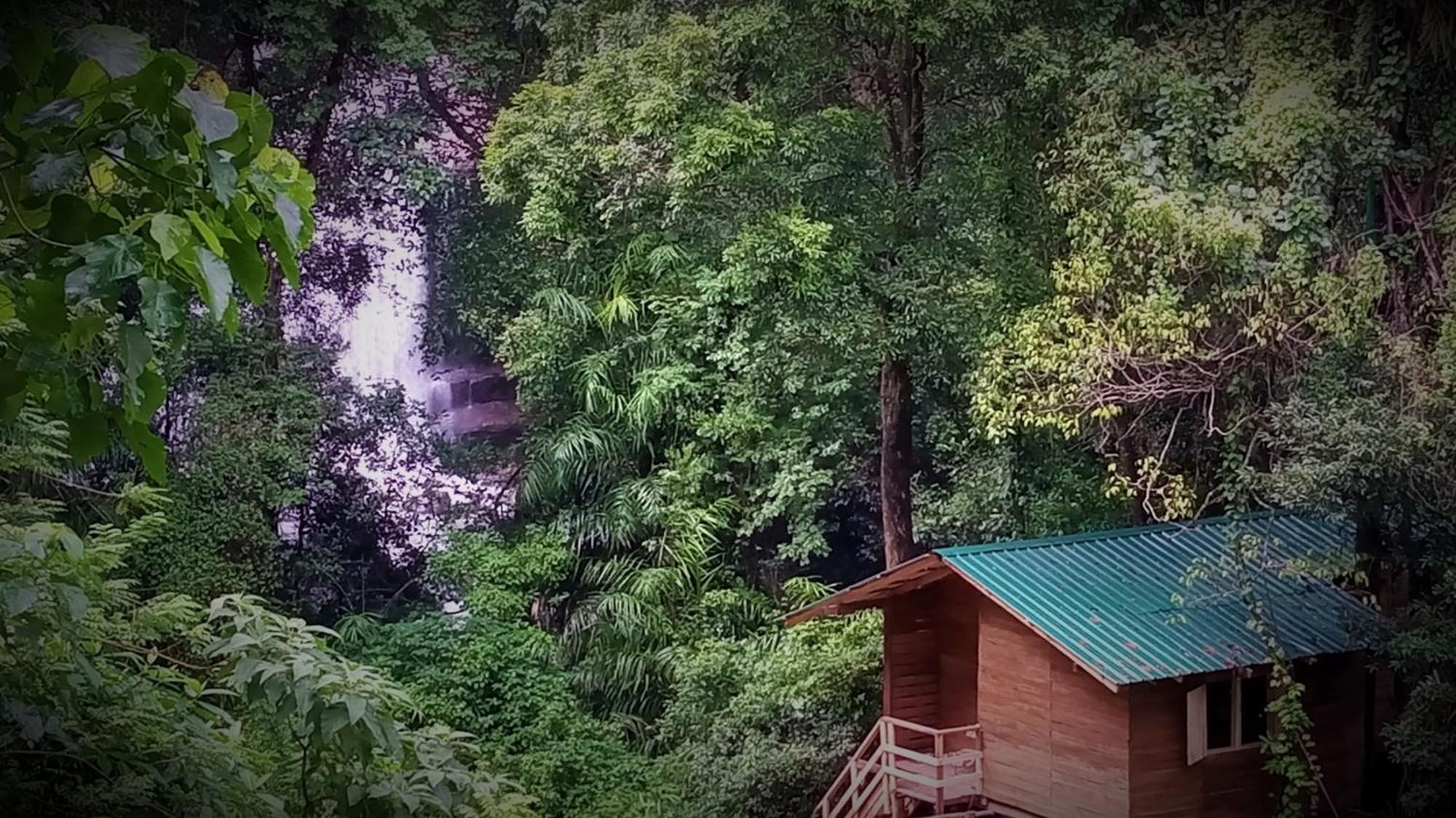 Pallegama Chalet In The Jungle מראה חיצוני תמונה