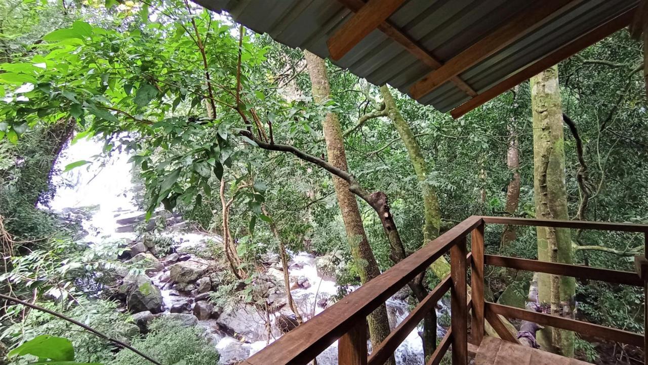 Pallegama Chalet In The Jungle מראה חיצוני תמונה