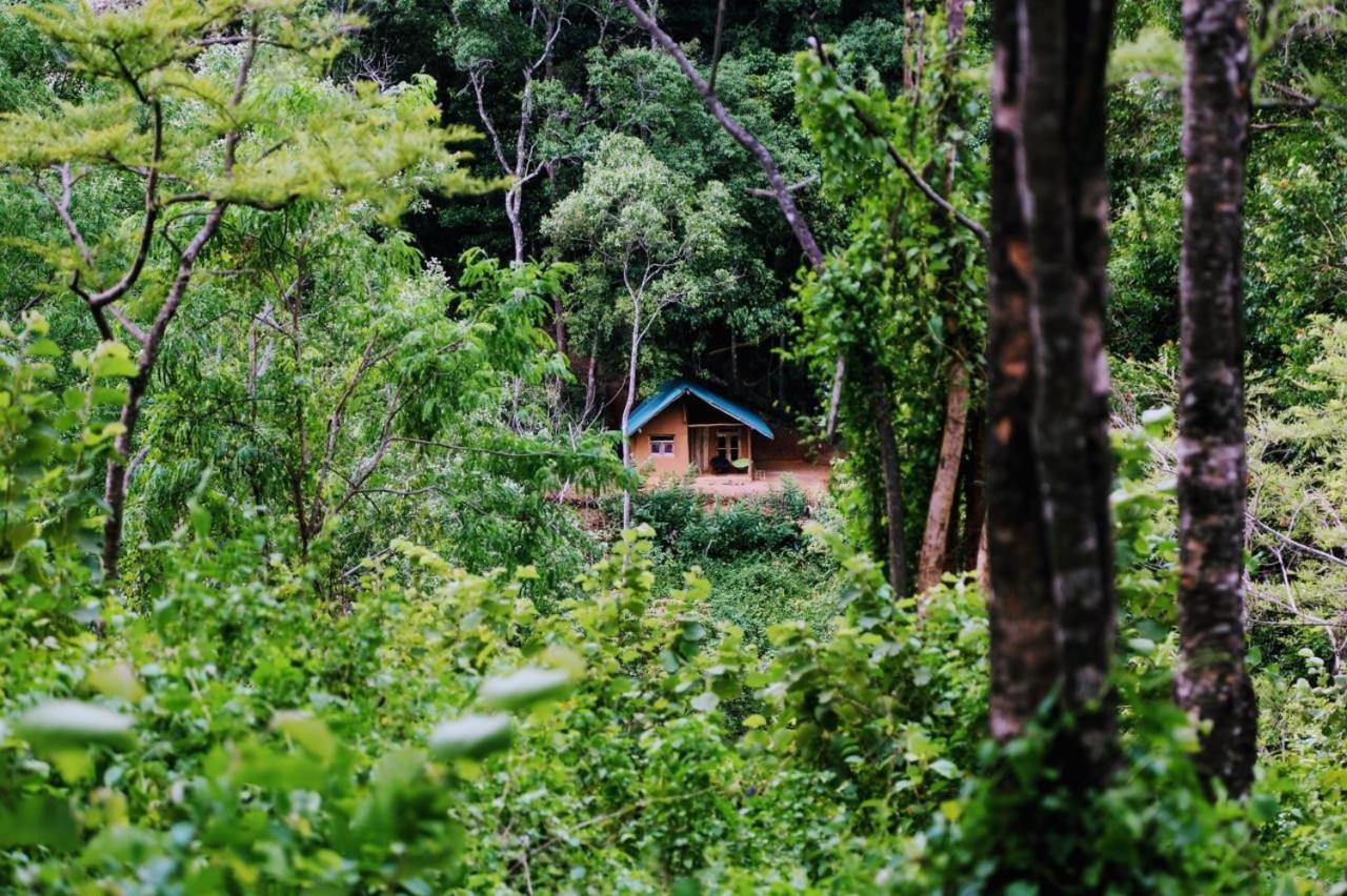 Pallegama Chalet In The Jungle מראה חיצוני תמונה