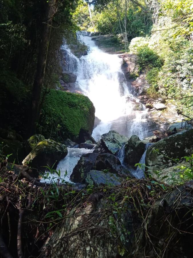 Pallegama Chalet In The Jungle מראה חיצוני תמונה