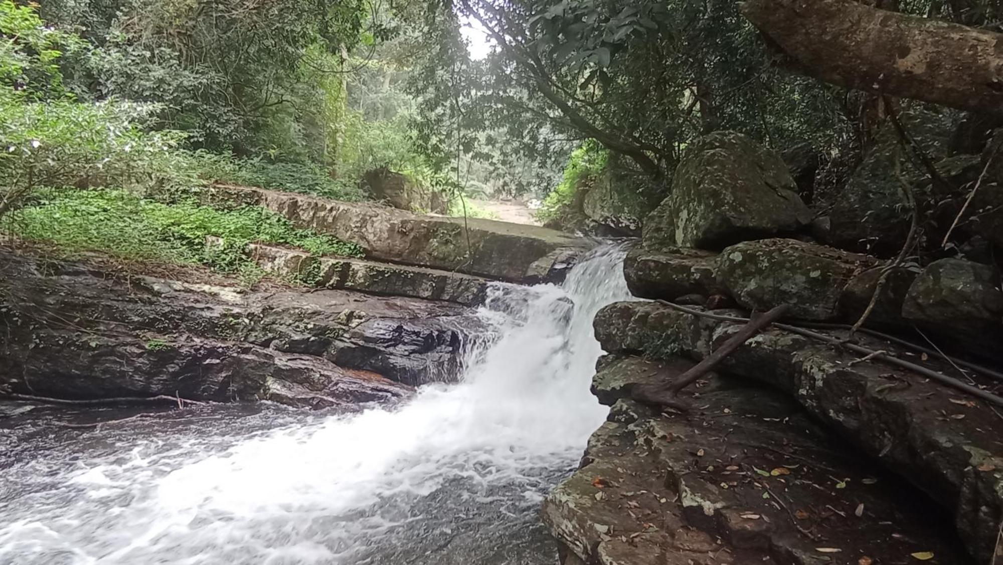 Pallegama Chalet In The Jungle מראה חיצוני תמונה